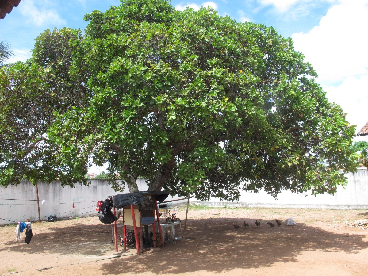 Abrigo CARE Zona Norte
